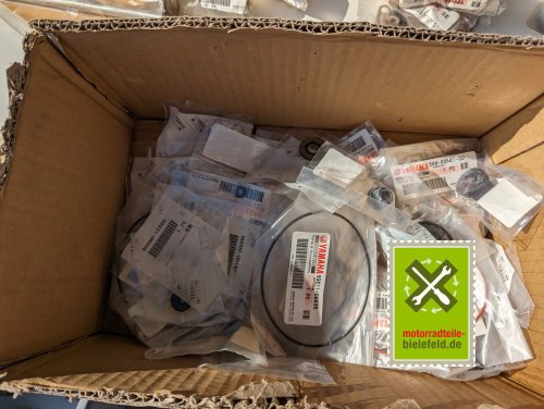 PXL_20240528_153303456
